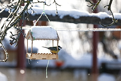 \"Давно таких зим не было\". Как в Бобруйском районе работают автолавки на селе