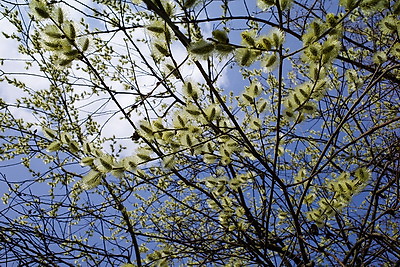 ФОТОХРОНИКА начинает новый информационный день