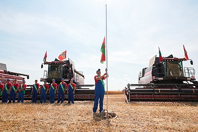 В Минской области началась уборка зерновых