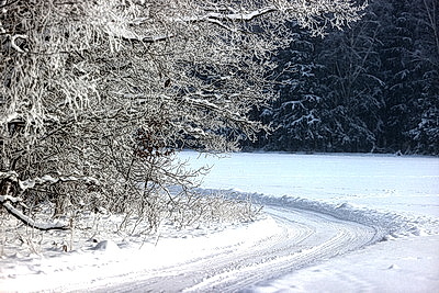 Ночью до -25..-30°С ожидается в Беларуси 15 января