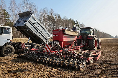 Механизаторы в Мостовском районе начали сев гороха
