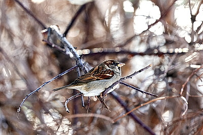 ФОТОХРОНИКА начинает новый информационный день