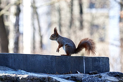 Солнечный весенний день в Минске