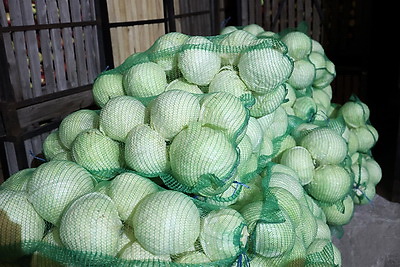Как в Гродненской области хранят и реализуют плодоовощную продукцию