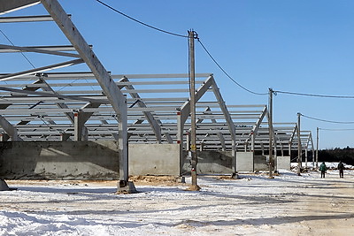 В Гомельской области возводят самый крупный в Беларуси свиноводческий комплекс