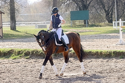Олимпийские дни молодежи по выездке стартовали в Гомеле