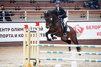 Чемпионат Беларуси по конному троеборью проходит в Ратомке