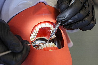 Выездная пресс-конференция в БГМУ: современные образовательные возможности для будущих медиков