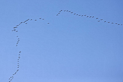 ФОТОХРОНИКА начинает новый информационный день