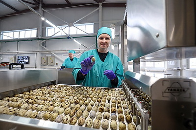 Турчин посетил Солигорскую птицефабрику