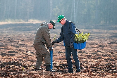 Члены Совета Республики приняли участие в акции \"Лес! Дабро! Парадак!\" в Столбцовском районе