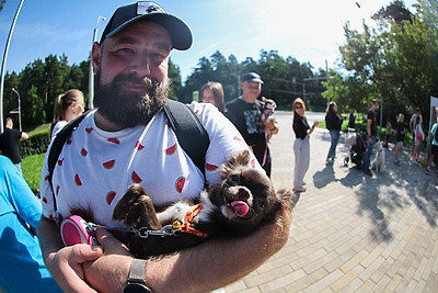 Один повод и один поводок. В Минске сотня хозяев и их собак промчались на \"Лохматом марафоне\"