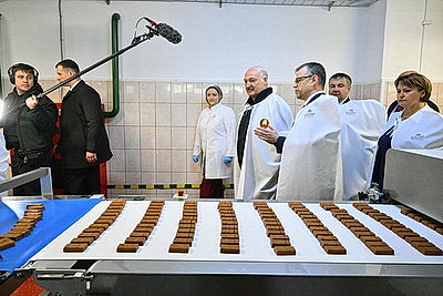 Cельское хозяйство и \"кондитерка\". Лукашенко посетил Наровлянский район