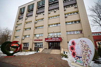 Ученый: рапсовое масло входит в тройку лучших растительных масел для питания человека