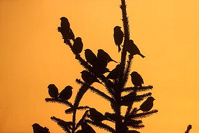 ФОТОХРОНИКА начинает новый информационный день