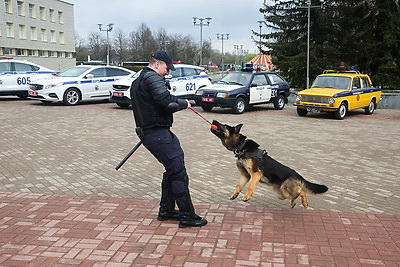Узнать о службе и поговорить с профессионалами. Первый молодежный правоохранительный форум прошел в Могилеве