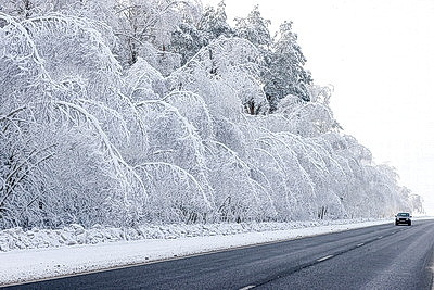 Ночью до -25..-30°С ожидается в Беларуси 15 января