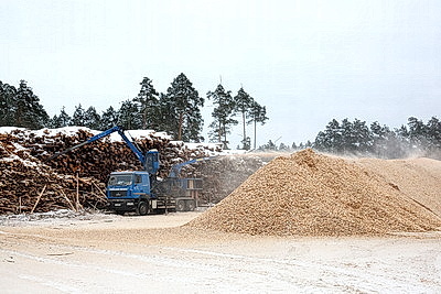 Кличевский лесхоз наладил безотходный цикл производства