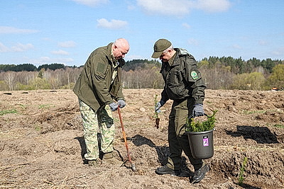 Молодой лес, обновленные улицы, цветники: Жировичи всем миром вышли на субботник