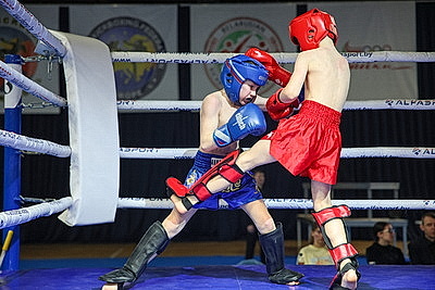 Открытый республиканский турнир по кикбоксингу завершился в Минском районе