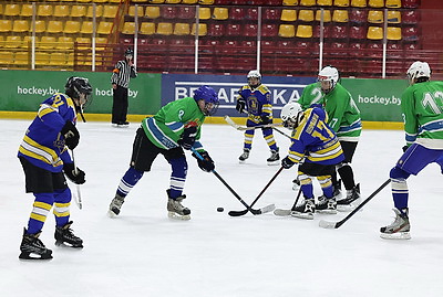 В Витебске завершился областной турнир по хоккею \"Золотая шайба\"