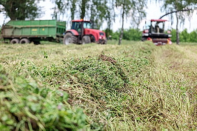 На агрокомбинате \"Южный\" завершается уборка трав первого укоса