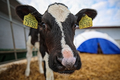 Лукашенко посетил МТК в Логойском районе