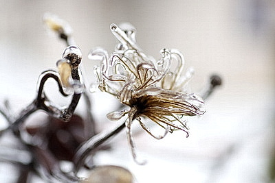 Стеклянный дождь в Гродно