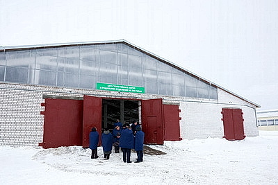 Условия региона, соблюдение технологий. Минсельхозпрод о подходах при строительстве профилакториев для телят