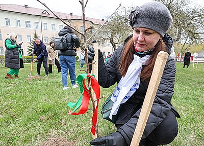 \"Символ мая, Победы, добра и плодородия\". В Беларуси проходит акция \"Яблоневый сад\"