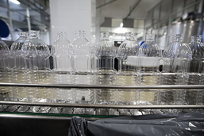 Ученый: рапсовое масло входит в тройку лучших растительных масел для питания человека