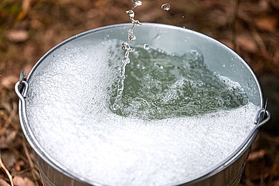 В Гродненской области приступили к заготовке березового сока