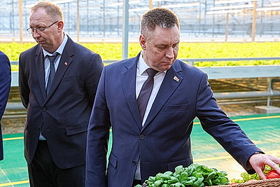 Круглый год в магазинах! Как выращивают овощи в тепличном хозяйстве \"ДОРОРС\"