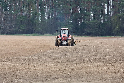 В Могилевском районе стартовал сев селекционных образцов льна-долгунца