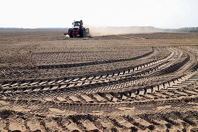 Аграрии Светлогорского района активно включились в посевную кампанию
