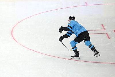 Лукашенко приехал на первую четвертьфинальную игру \"Динамо-Минск\" в плей-офф КХЛ