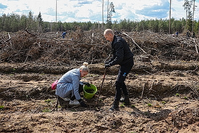 Республиканский субботник: коллектив Администрации Президента принял участие в благоустройстве мемориального комплекса и посадке леса