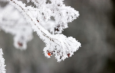 ФОТОХРОНИКА начинает новый информационный день