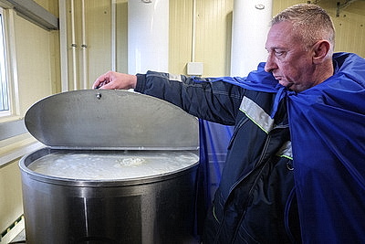 В тепле и с дополнительными порциями молока: как в Могилевской области содержат телят в морозы