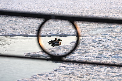 Первый весенний день