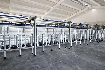 Кочанова ознакомилась с деятельностью ОАО \"Парохонское\"