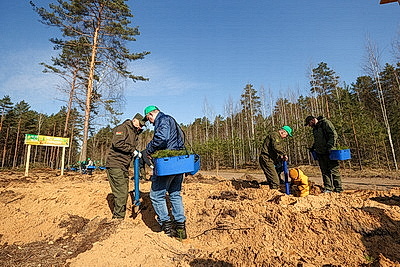 Навести порядок в общем доме. Вольфович об акции \"Лес! Дабро! Парадак!\"