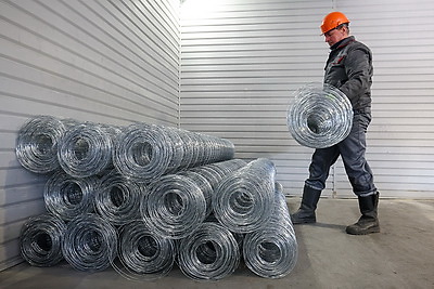 Что делают в Минской области для снижения количества ДТП с дикими животными