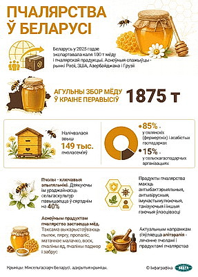 Инфографика. Пчеловодство в Беларуси