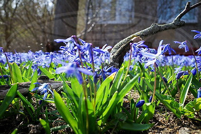 ФОТОХРОНИКА начинает новый информационный день