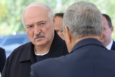 Лукашенко предлагает в перспективе увеличивать в Беларуси площади под картофель