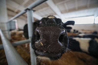 Лукашенко посетил МТК в Логойском районе