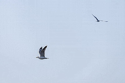 ФОТОХРОНИКА начинает новый информационный день