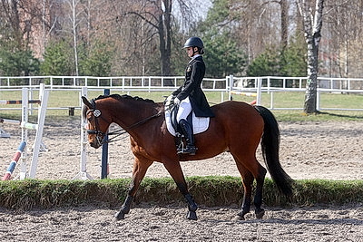 Олимпийские дни молодежи по выездке стартовали в Гомеле