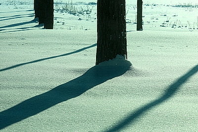 Зимний пейзаж